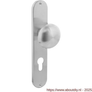 Intersteel 2695 knopschild ovaal 220x41x8 mm met vaste knop Paddenstoel profielcilindergat 72 mm RVS - A26003334 - afbeelding 1