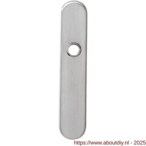 Intersteel 2696 schild ovaal verdekt 220x42 mm sleutelgat 56 mm RVS - A26007644 - afbeelding 1