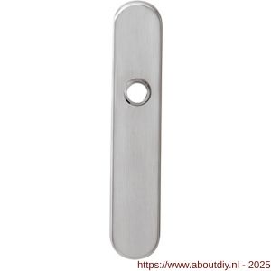 Intersteel 2696 schild ovaal verdekt 220x42 mm WC63/8 mm RVS - A26007646 - afbeelding 1