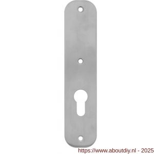 Intersteel 2698 schild plat afgerond 190x42x2 mm profielcilindergat 72 mm RVS - A26002911 - afbeelding 1