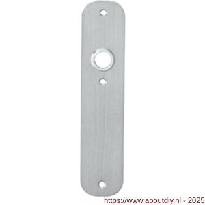 Intersteel 2698 schild plat afgerond 190x42x2 mm WC57/5 mm RVS - A26002919 - afbeelding 1