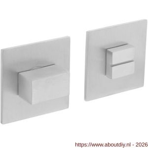 Intersteel Essentials 3424 WC-sluiting verdekt met magneet 55x55x3 mm met nokken en stift 8x8 mm RVS - A26008566 - afbeelding 1