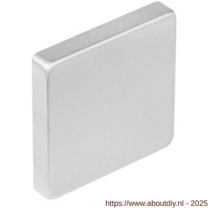 Intersteel 3510 afdekrozet verdekt 53x53x8 mm met nokken RVS - A26002400 - afbeelding 1