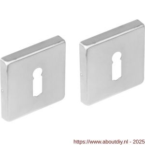 Intersteel 3510 sleutelrozetten verdekt 53x53x8 mm met nokken RVS - A26011383 - afbeelding 1