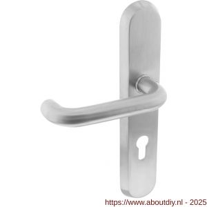 Intersteel 3784 SKG3 veiligheid buitenschild ovaal 250x50 mm met kruk Rond met veerconstructie profielcilindergat 72 mm RVS - A26008589 - afbeelding 1