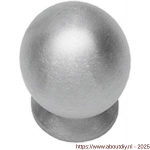 Intersteel Essentials 8510 meubelknop bolrond diameter 20 mm met achterplaat RVS - A26007872 - afbeelding 1