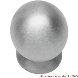 Intersteel Essentials 8510 knop bolrond achterplaat diameter 30 mm met achterplaat RVS - A26007882 - afbeelding 1