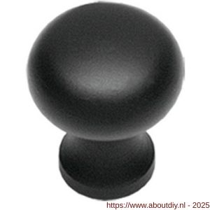 Intersteel Living 8550 meubelknop Paddenstoel diameter 30 mm smeedijzer zwart - A26004081 - afbeelding 1