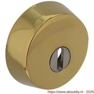 Intersteel Living 3755 SKG3 veiligheidsrozet rond diameter 59x18 mm voor oplegsloten met kerntrekbeveiliging PVD messingkleur - A26009284 - afbeelding 1