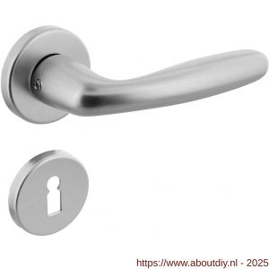 Intersteel 0072 deurkruk Sigaar met rozet verdekt diameter 50x7 mm met nokken en sleutelrozetten aluminium F1 - A26006474 - afbeelding 1