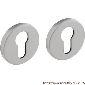 Intersteel Living 3090 cilinderrozetten verdekt diameter 50x7 mm met nokken aluminium F1 - A26011138 - afbeelding 1