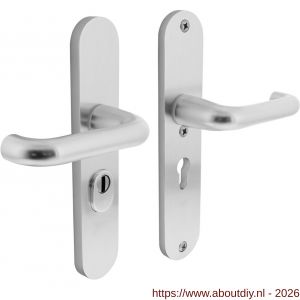 Intersteel Living 3797 SKG3 veiligheidsbeslag ovaal 250x50 mm kruk-kruk Rond met veerconstructie profielcilindergat 55 mm met kerntrekbeveiliging aluminium F1 - A26008848 - afbeelding 1