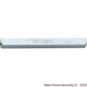 Intersteel 9752 stift beide zijden hol 8x100 mm horizontaal-verticaal - A26006595 - afbeelding 1