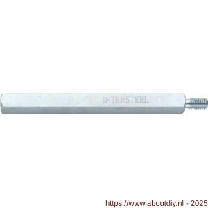 Intersteel 9754 wisselstift schroefdraad M6-hol 8x110 mm - A26000899 - afbeelding 1