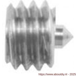Intersteel 9904 inbusboutje met punt M6x4 mm - A26000839 - afbeelding 1