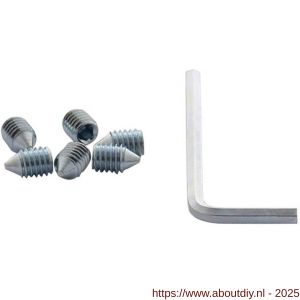 Intersteel 9904 accessoireset A 6 inbusboutjes M6x9 mm conisch en inbussleutel - A26010073 - afbeelding 1