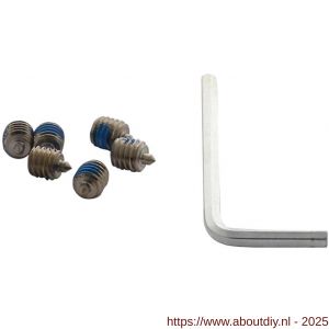 Intersteel 9904 accessoireset B 6 inbusboutjes M6x6 mm met punt en inbussleutel - A26010074 - afbeelding 1