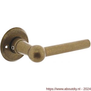 Intersteel 0446 gatdeel deurkruk L/L bol met rozet diameter 50x5 mm messing getrommeld - A26010140 - afbeelding 1