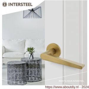 Intersteel Living 0465 deurkruk Tiga met geveerde kunststof rozet met nokken diameter 50x7 mm messing mat PVD - A26009867 - afbeelding 2