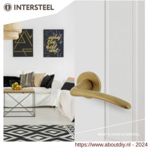 Intersteel Living 0466 deurkruk Zaia met geveerde kunststof rozet met nokken diameter 50x7 mm messing mat PVD - A26009870 - afbeelding 2