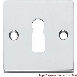 Intersteel Living 3184 sleutelplaatje met nokken vierkant 55x55x8 mm messing verchroomd - A26002515 - afbeelding 1