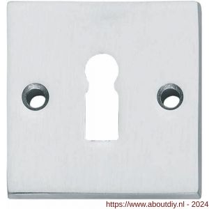 Intersteel Living 3184 sleutelplaatje met nokken vierkant 55x55x8 mm messing chroom mat - A26007601 - afbeelding 1