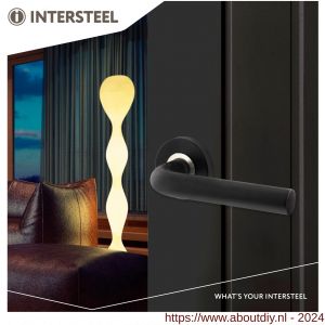 Intersteel Living 0570 deurkruk Luzern op ronde rozet met ring met veer RVS mat zwart - A26008198 - afbeelding 3