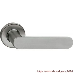 Intersteel Living 0643 gatdeel deurkruk Massief strak-elegant op rozet met ring met veer RVS - A26000777 - afbeelding 1