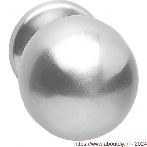 Intersteel Exclusives 3930 voordeurknop bol diameter 75 mm éénzijdige montage RVS - A26001007 - afbeelding 1