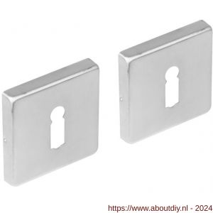 Intersteel Essentials 3510 sleutelplaatje staal met nokken vierkant 53x53x8 mm RVS geborsteld - A26009037 - afbeelding 1