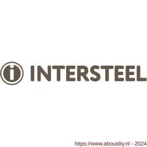 Intersteel Exclusives 3413 rondcilinderplaatje staal verdekt diameter 53x5 mm RVS gepolijst - A26008827 - afbeelding 1