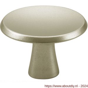 Hermeta 3751 meubelknop rond 30 mm met bout M4 nieuw zilver EAN sticker - A20101062 - afbeelding 1