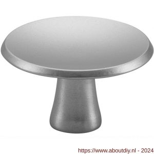 Hermeta 3752 meubelknop rond 35 mm met bout M4 naturel - A20101904 - afbeelding 1
