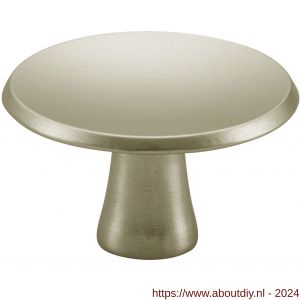 Hermeta 3752 meubelknop rond 35 mm met bout M4 nieuw zilver - A20101781 - afbeelding 1
