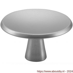 Hermeta 3753 meubelknop rond 40 mm met bout M4 naturel - A20101905 - afbeelding 1