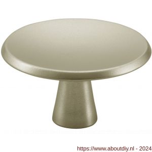 Hermeta 3753 meubelknop rond 40 mm met bout M4 nieuw zilver - A20101068 - afbeelding 1