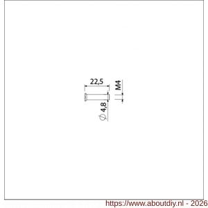 Ami deurbeslag patentbouthuls messing vernikkeld M4x22.5 mm zaagsnede set 10 stuks - A10900196 - afbeelding 2
