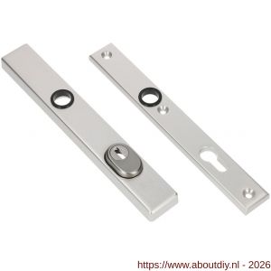 Ami VHB 251/37 KT veiligheidssmalschild SKG*** kerntrekbeveiliging VHB 251/37 buiten kerntrek KT 55 en 251/32 binnen profielcilinder PC 55 F1 deurdikte 53-57 mm - A10901624 - afbeelding 1