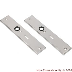 Ami 251/50/8 langschild aluminium sleutelgat SLG 56 F1 R6,5/R7,3 - A10900682 - afbeelding 1