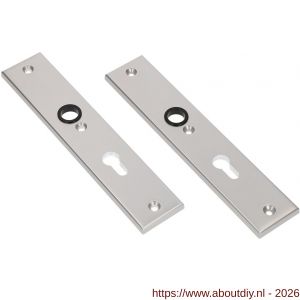 Ami 251/50/8 langschild aluminium profielcilinder PC 72 F1 R6,5/R7,3 - A10900684 - afbeelding 1