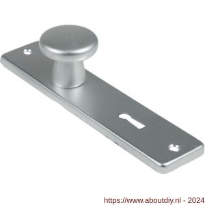 Ami 165/4 RH knopkortschild aluminium rondhoek knop 160/40 vast kortschild 165/4 RH SL 56 F2 - A10900709 - afbeelding 1