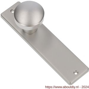 Ami 178/43 knopkortschild aluminium knop 169/50 vast kortschild 178/43 blind F1 - A10900720 - afbeelding 1