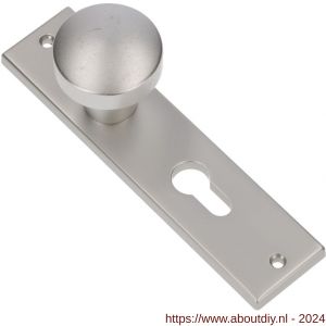 Ami 178/43 knopkortschild aluminium knop 169/50 vast kortschild 178/43 PC 72 F1 - A10900724 - afbeelding 1