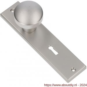 Ami 178/43 knopkortschild aluminium knop 169/50 vast kortschild 178/43 SL 56 F1 - A10900721 - afbeelding 1