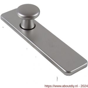 Ami 185/44 Klik knopkortschild aluminium knop 160/40 vast kortschild 185/44 Klik blind F1 - A10900736 - afbeelding 1
