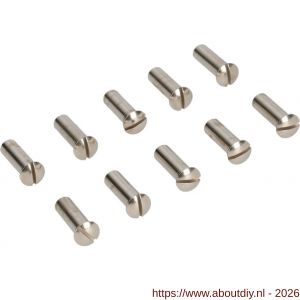 Ami deurbeslag patentbouthuls messing vernikkeld M5x21 mm zaagsnede set 10 stuks - A10900199 - afbeelding 1