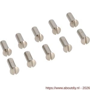 Ami deurbeslag patentbouthuls messing vernikkeld M6x21 mm zaagsnede set 10 stuks - A10900201 - afbeelding 1