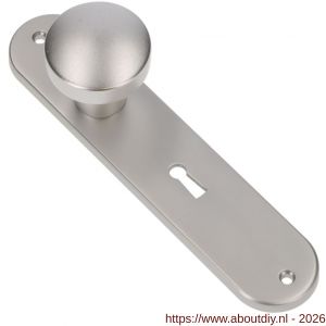 Ami 200/1/7 knoplangschild aluminium knop 169/50 vast langschild 200/1/7 sleutelgat SLG 56 F1 - A10900744 - afbeelding 1