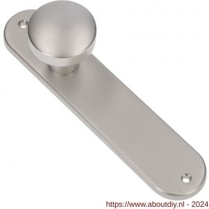 Ami 200/1/7 knoplangschild aluminium knop 169/50 vast langschild 200/1/7 blind F1 - A10900743 - afbeelding 1