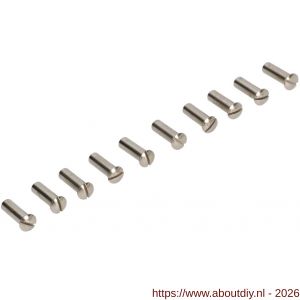 Ami deurbeslag patentbouthuls messing vernikkeld M4x22.5 mm zaagsnede set 10 stuks - A10900196 - afbeelding 1